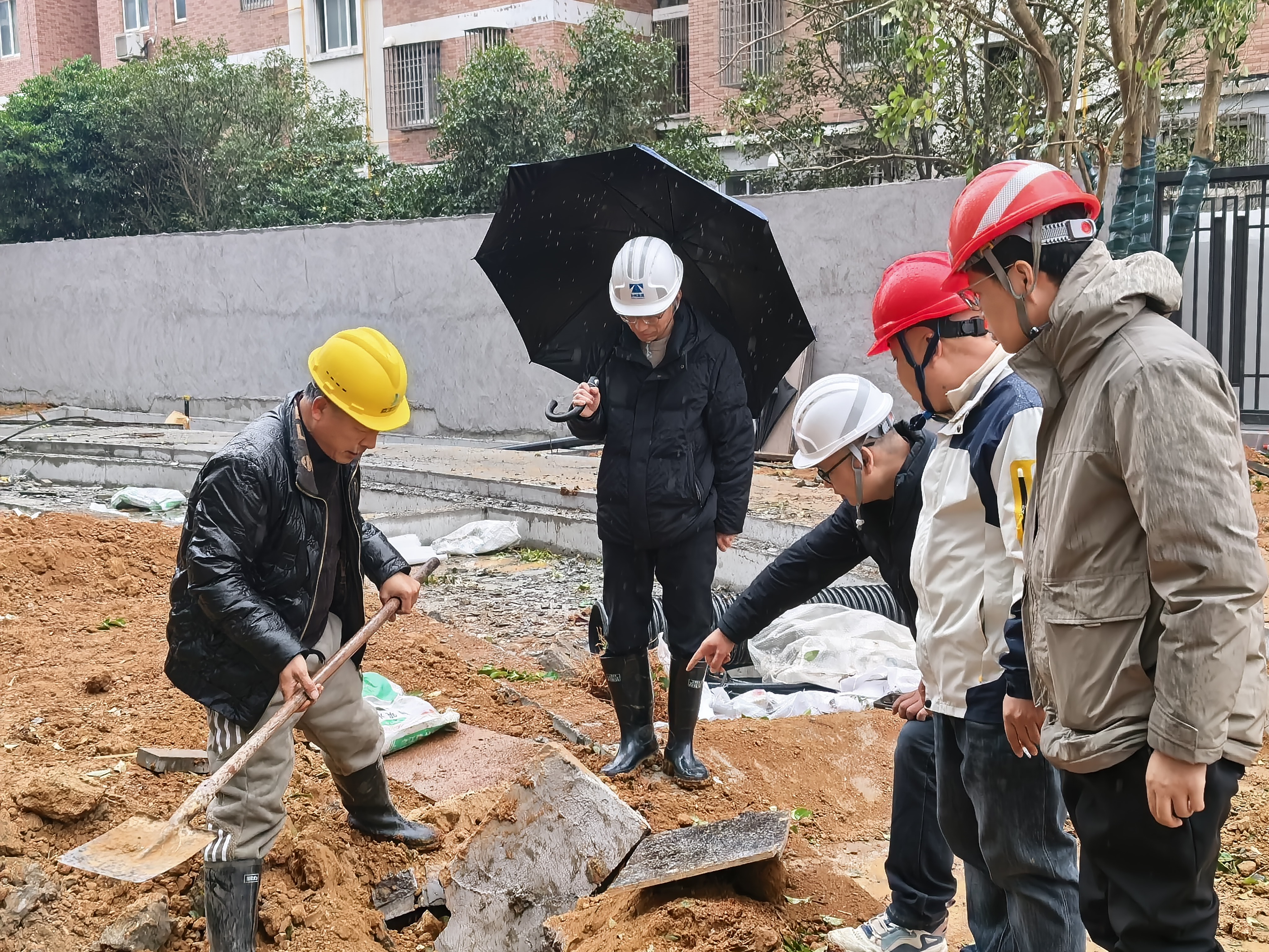 1769650634585171.jpg 微信圖片_20260128155849_62_39.jpg